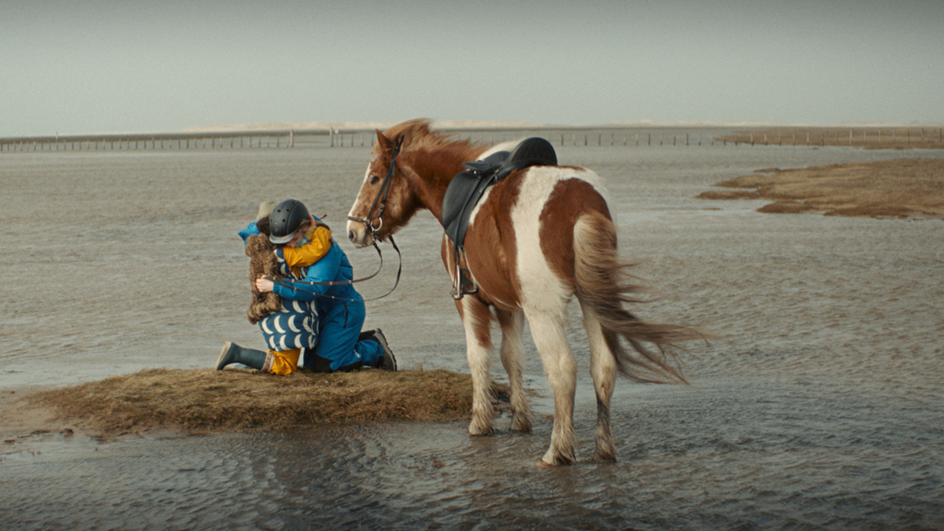Ufolino Mitmachkino: Hai oder Hyäne