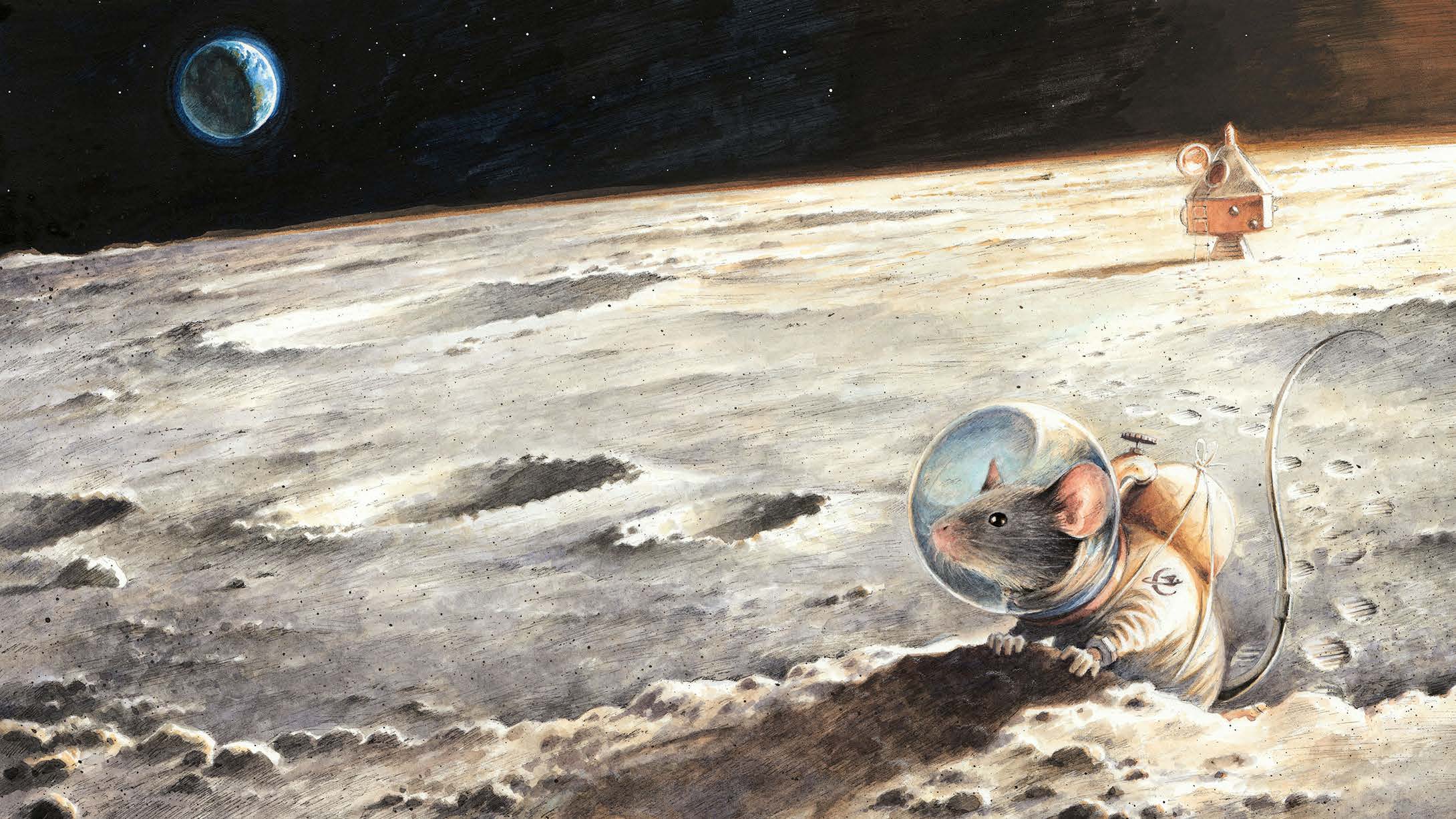 2025_11_22_Armstrong Homepage Abbildung aus dem Bilderbuch "Armstrong" von Tobias Kuhlmann