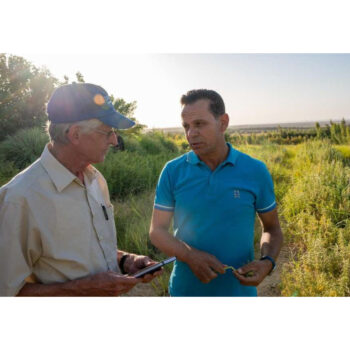 Vom Mut in der Wüste